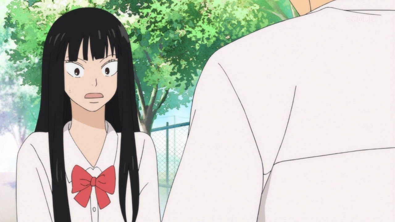 Kimi ni Todoke (Anime Rakuen)